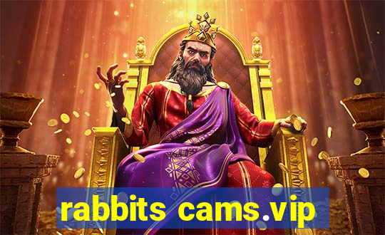 rabbits cams.vip